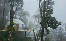Willmount Geodesic Domes Vagamon